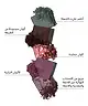 By BEAUTY BAY - Botanical 42 Colour Palette