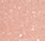 REVP0776F