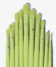 Made By Mitchell - 16 Piece Brush Set & Brush Pouch