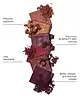 By BEAUTY BAY - Rich 42 Colour Palette
