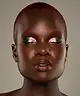 Danessa Myricks Beauty - Infinite Chrome Flakes