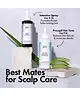 BondiBoost - Procapil Hair Tonic