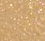 LIND0122F