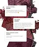 By BEAUTY BAY - Rich 9 Colour Palette