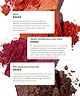By BEAUTY BAY - Fiery 2.0 42 Colour Palette